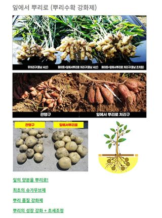 농부가 좋아님의 어떤 유기농자재 쓰세요? · 참여글 작성글 사진