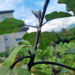 서정혁님의 자유주제 · 자유게시판 작성글 사진