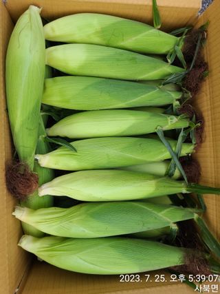 윤인석님의 작성글 사진