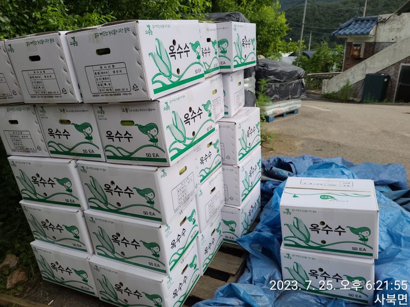 윤인석님의 장터 판매 상품 [찰 옥수수 ..수확 판매시작^^] 첨부 사진