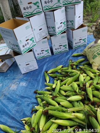 윤인석님의 작성글 사진