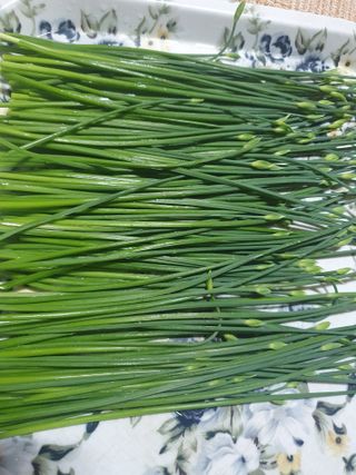 인생은 소풍처럼님의 호박 · 자유게시판 작성글 사진