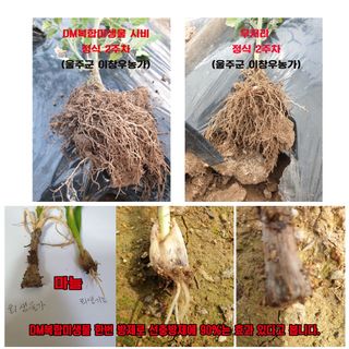 단지바이오님의 작성글 사진