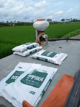 팜모닝회원 김광수님의 벼 · 영농일지 작성글 사진