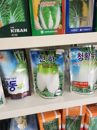 팜모닝회원 바이크농원님의 기타작물 · 자유게시판 작성글 사진