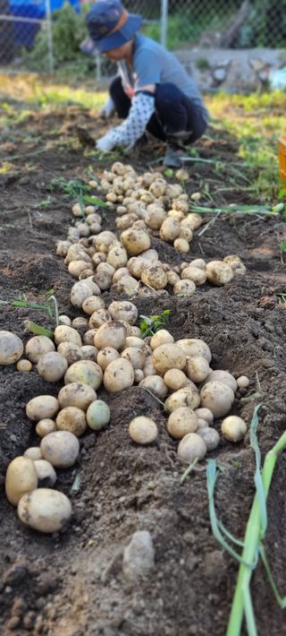 하동써니님의 자유주제 · 자유게시판 작성글 사진