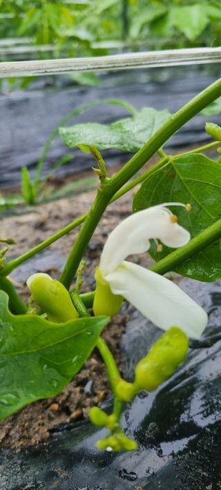 하동써니님의 자유주제 · 자유게시판 작성글 사진