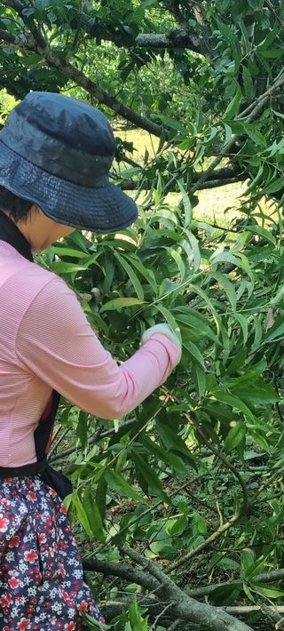 하동써니님의 자유주제 · 자유게시판 작성글 사진