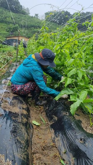 하동써니님의 자유주제 · 자유게시판 작성글 사진