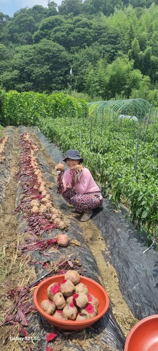 하동써니님의 자유주제 · 자유게시판 작성글 사진
