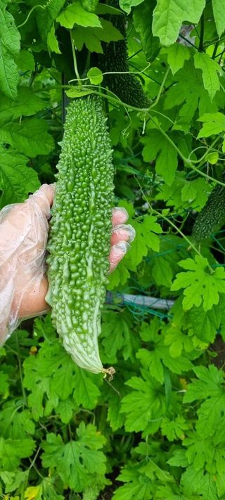 하동써니님의 자유주제 · 자유게시판 작성글 사진