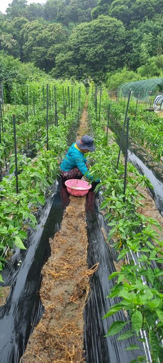 하동써니님의 자유주제 · 자유게시판 작성글 사진