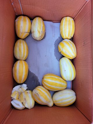 심선옥님의 우리동네 · 동네정보 작성글 사진