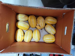 심선옥님의 우리동네 · 동네정보 작성글 사진