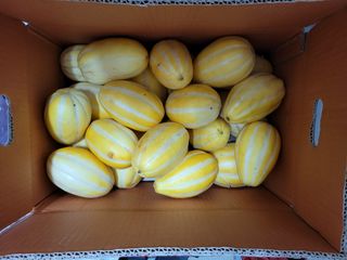 심선옥님의 우리동네 · 동네정보 작성글 사진