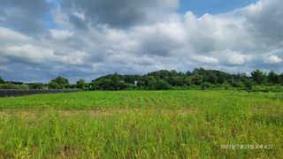 엄성열님의 콩 · 영농일지 작성글 사진