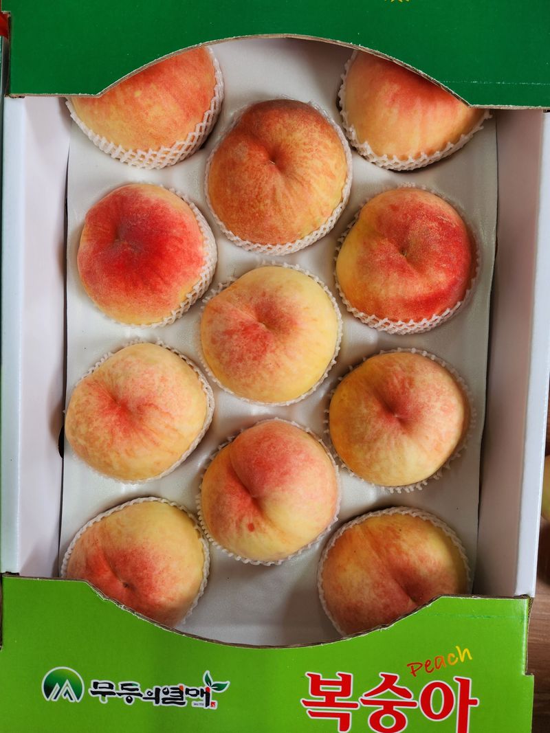 노아님의 장터 판매 상품 [못난이복숭아 4kg(판매완료)] 첨부 사진