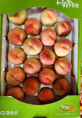 노아님의 작성글 사진