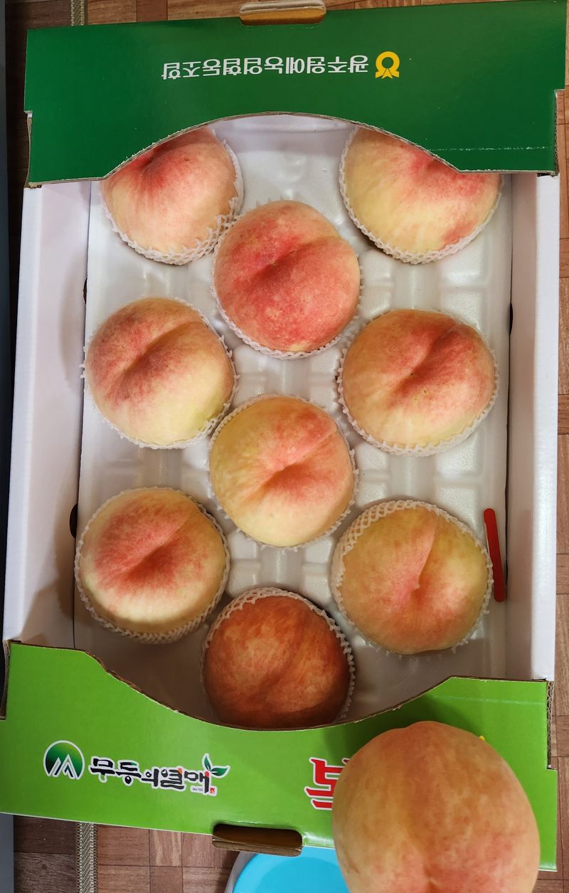 노아님의 장터 판매 상품 [못난이복숭아 4kg(판매완료)] 첨부 사진