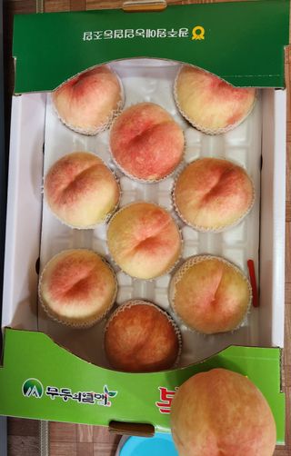 노아님의 작성글 사진