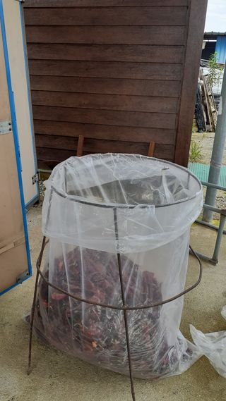 송광만님의 고추 · 수확 작성글 사진