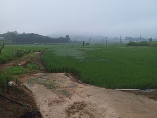 광개토대왕님의 벼 · 자유게시판 작성글 사진