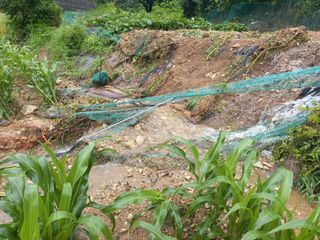 봉골농장님의 자유주제 · 자유게시판 작성글 사진