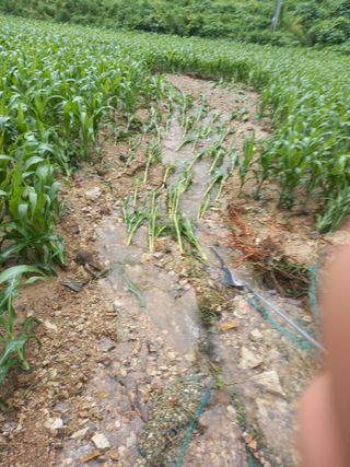 봉골농장님의 자유주제 · 자유게시판 작성글 사진