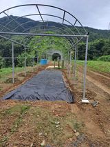 팜모닝 자유주제·자유게시판 게시글 이미지