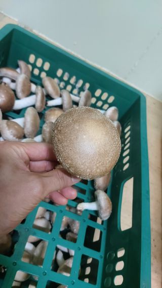 장성훈님의 작성글 사진