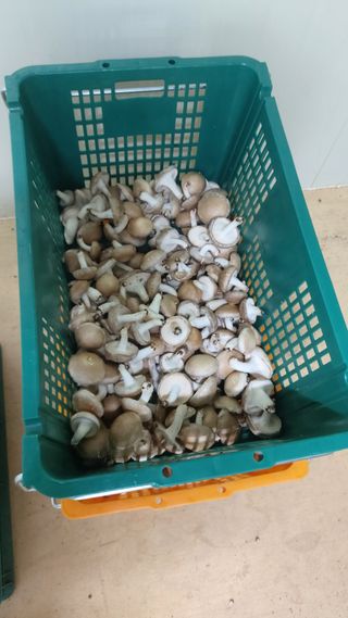 장성훈님의 작성글 사진