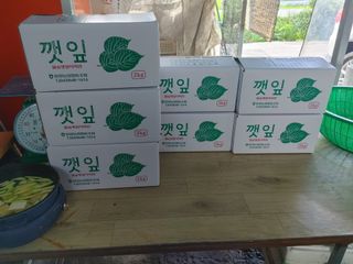 윤재하님의 어떤 유기농자재 쓰세요? · 참여글 작성글 사진