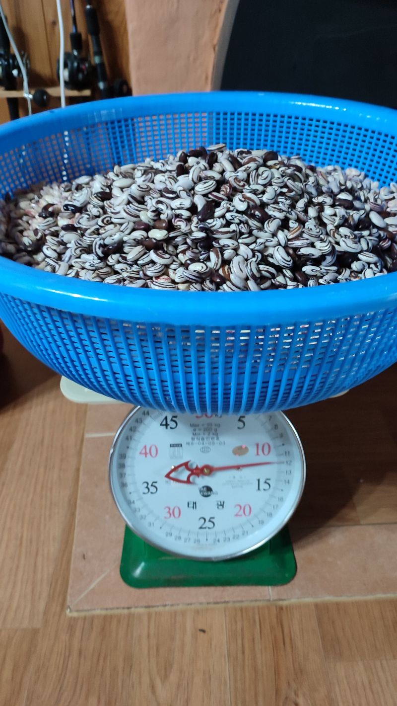 공성구님의 장터 판매 상품 [호랑이 강낭콩 급냉보관2키로] 첨부 사진