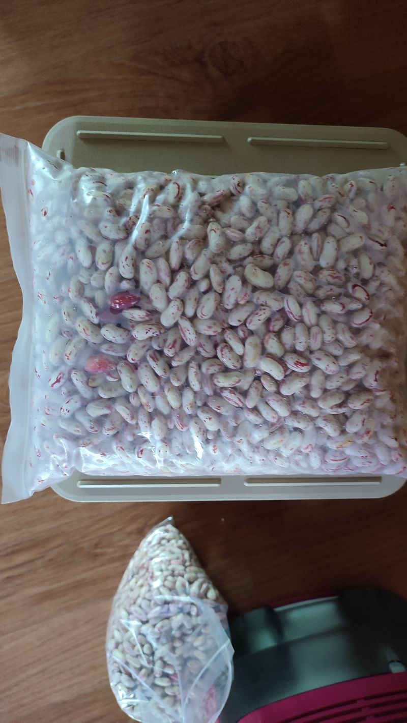 공성구님의 장터 판매 상품 [호랑이 강낭콩 급냉보관2키로] 첨부 사진