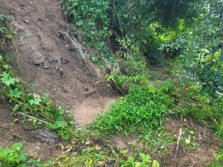 김성명님의 사과 · 자연재해•동물피해 작성글 사진