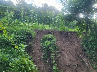 김성명님의 사과 · 자연재해•동물피해 작성글 사진