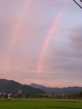 팜모닝 자유주제·자유게시판 게시글 이미지