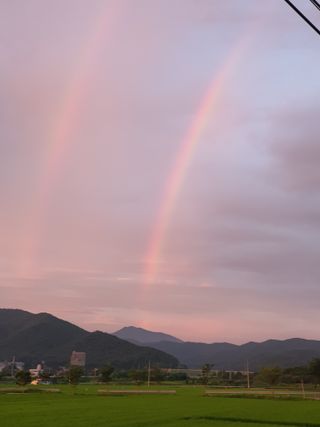 이영호님의 자유주제 · 자유게시판 작성글 사진