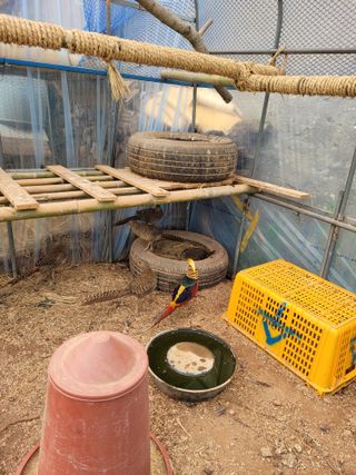 물안개님의 자유주제 · 자유게시판 작성글 사진