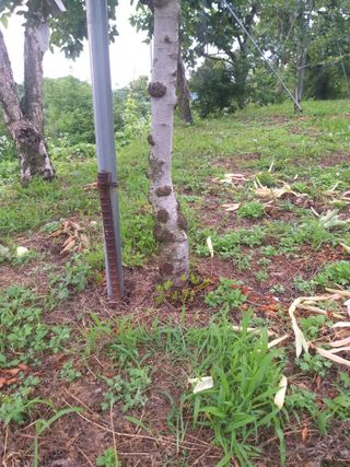 심무재 님의 사과 · 일상 작성글 사진