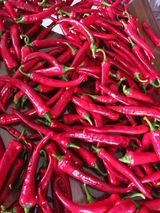 팜모닝 고추·영농일지 게시글 이미지