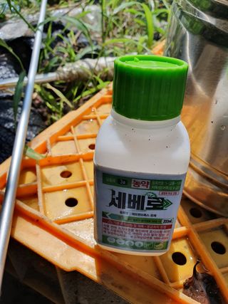 권헌석님의 콩 · 영농일지 작성글 사진