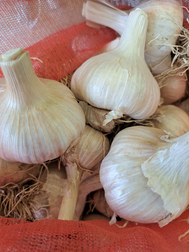 장터 상품 [홍산마늘 4kg] 썸네일