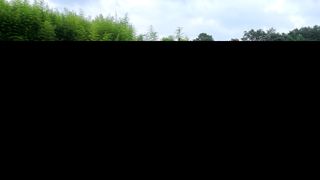 이교일지사랑이랍니다님의 벼 · 병해충상담 작성글 사진