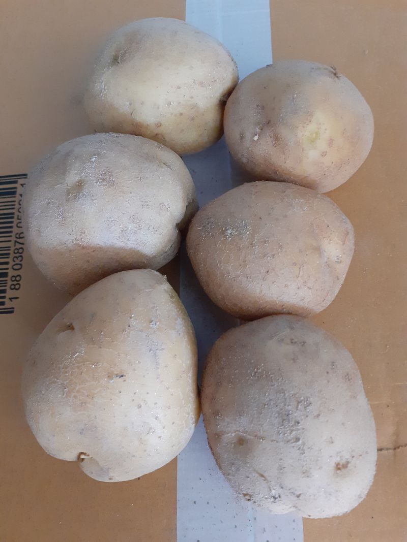 장터 상품 [감자20kg] 썸네일