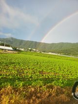 팜모닝 자유주제·자유게시판 게시글 이미지