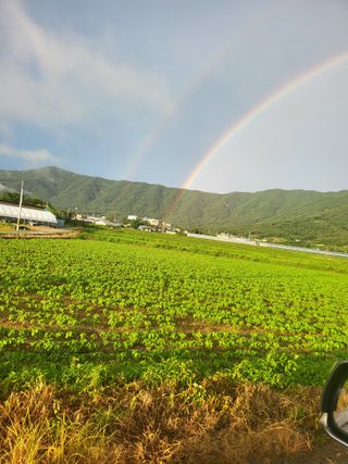 논산상월안정환님의 자유주제 · 자유게시판 작성글 사진