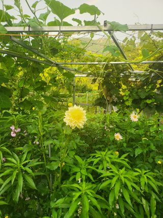 논산상월안정환님의 자유주제 · 자유게시판 작성글 사진