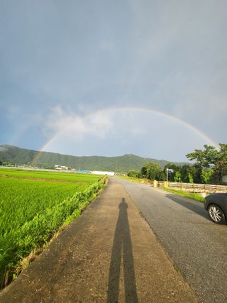 논산상월안정환님의 자유주제 · 자유게시판 작성글 사진