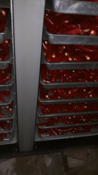 정상훈님의 고추 · 일상 작성글 사진